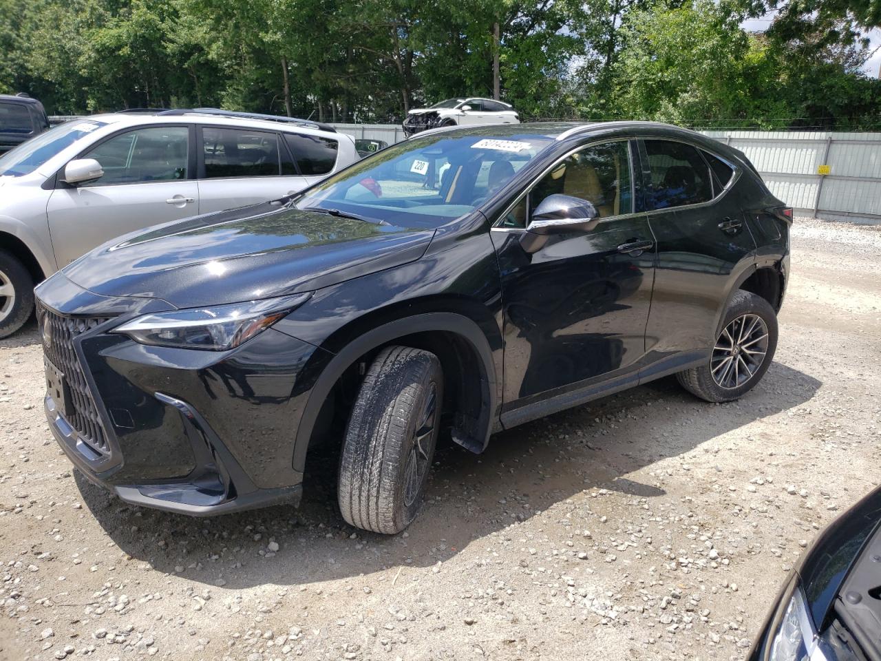 Lexus Nx 350 2023