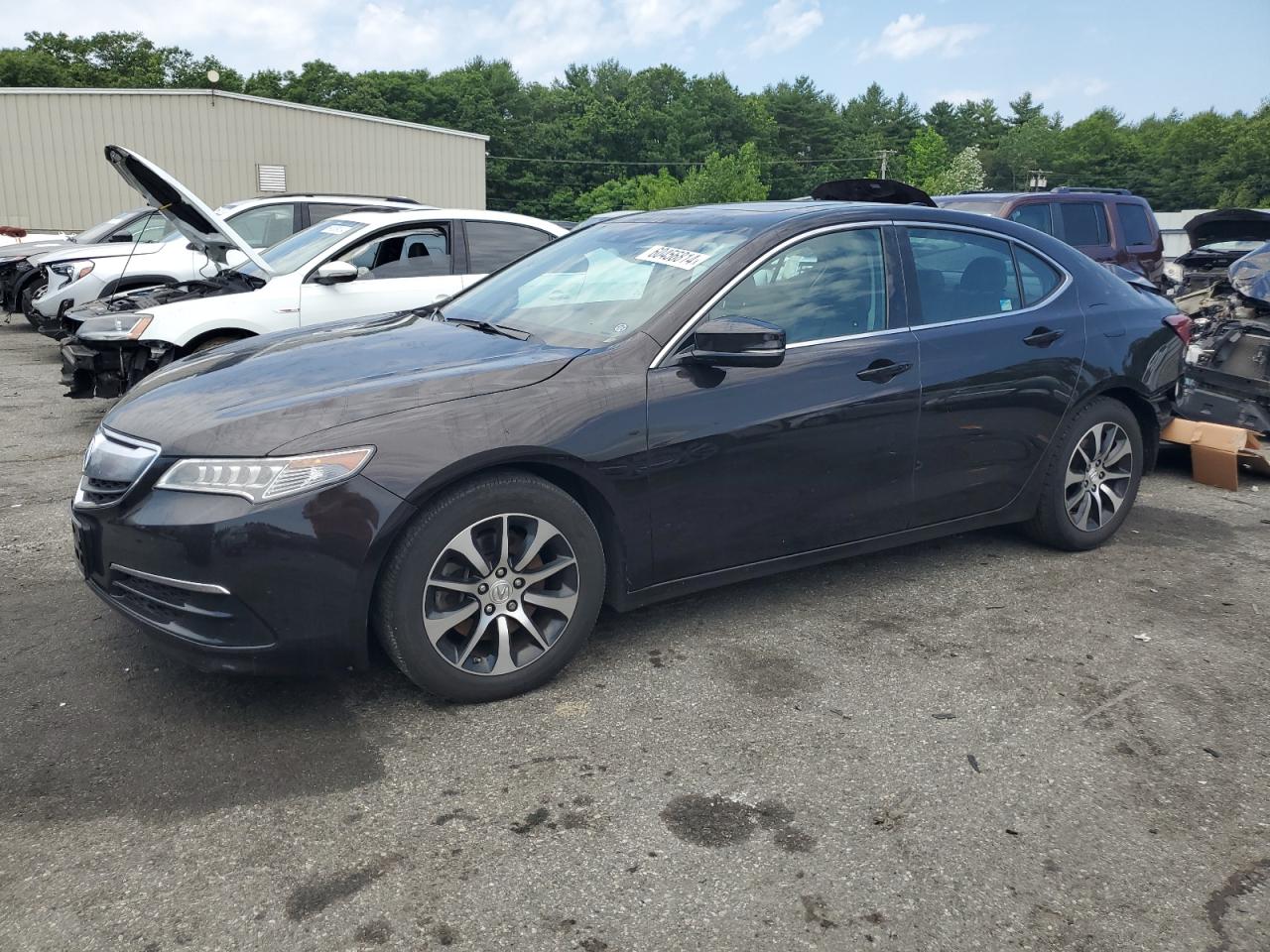 ACURA TLX TECH 2017