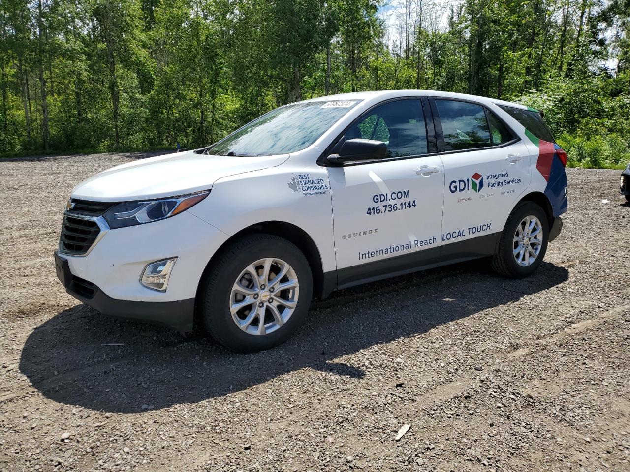 CHEVROLET EQUINOX LS 2019