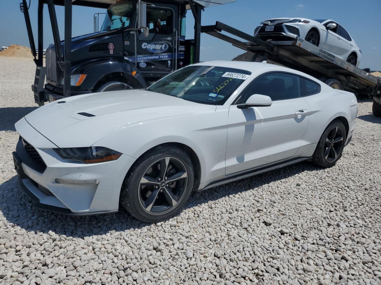 FORD MUSTANG 2021