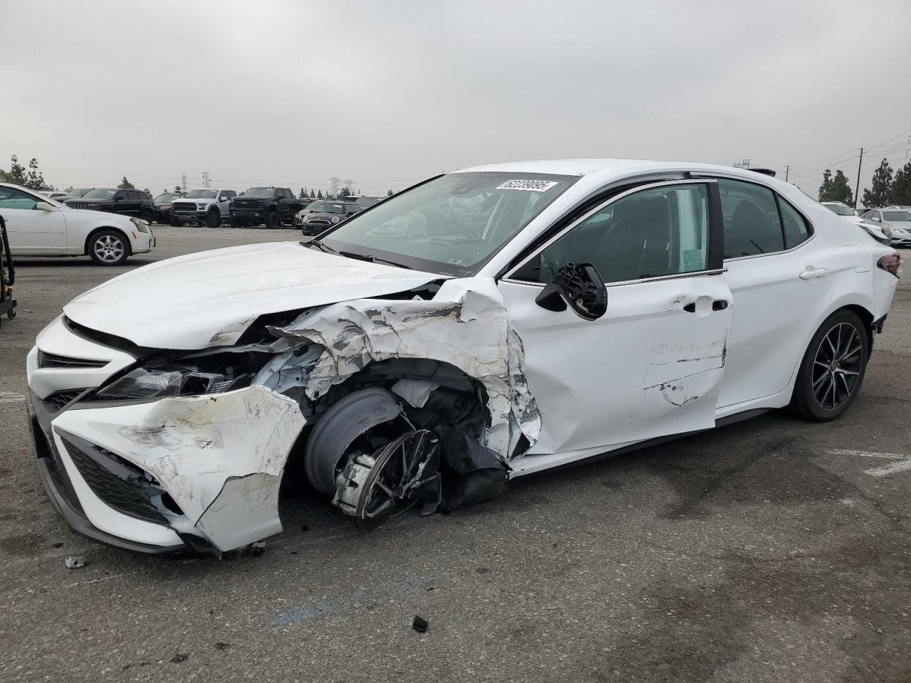 TOYOTA CAMRY SE N 2023