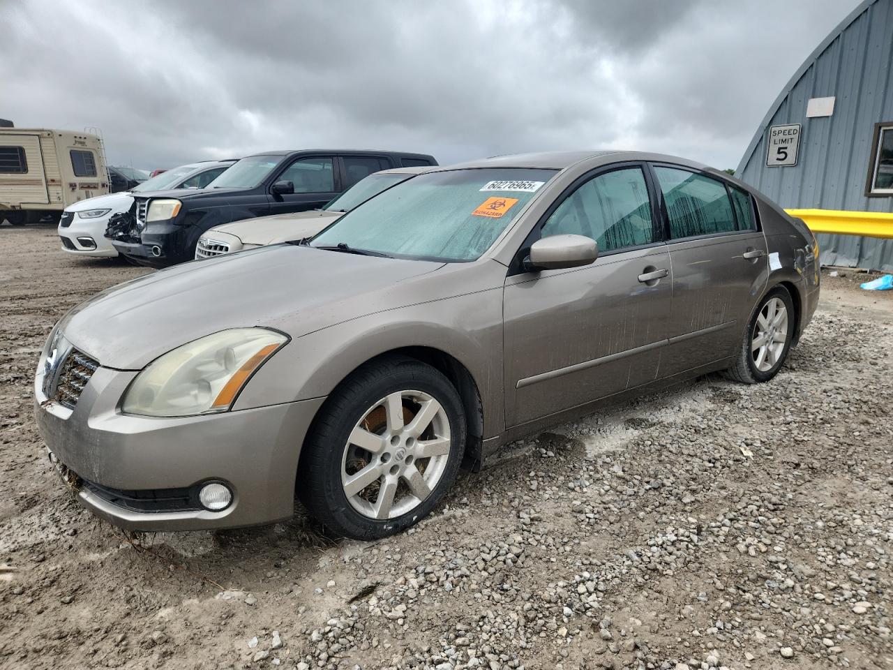 NISSAN MAXIMA SE 2004