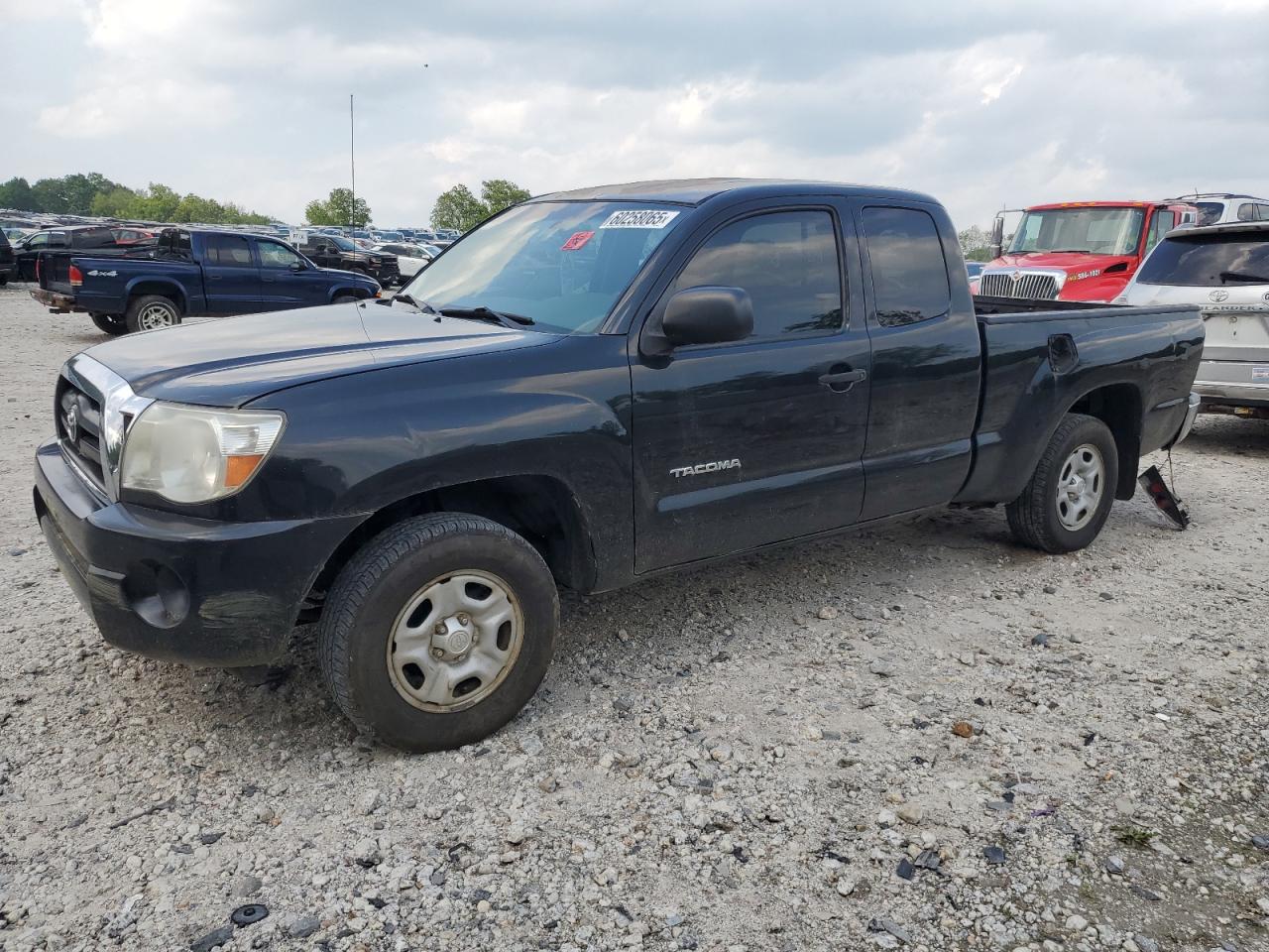 TOYOTA TACOMA ACC 2005