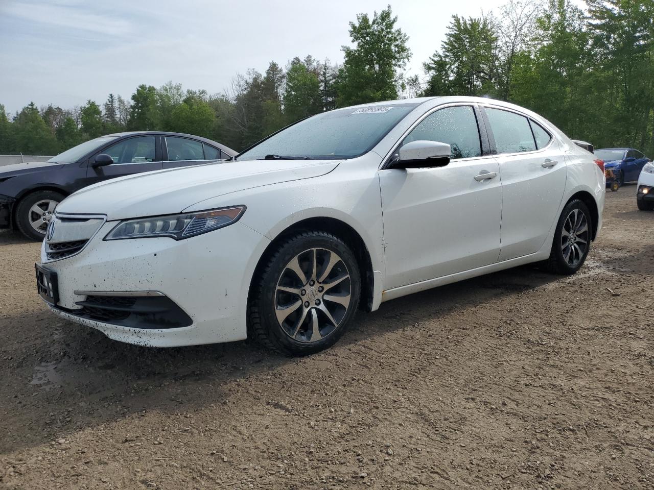 ACURA TLX TECH 2015