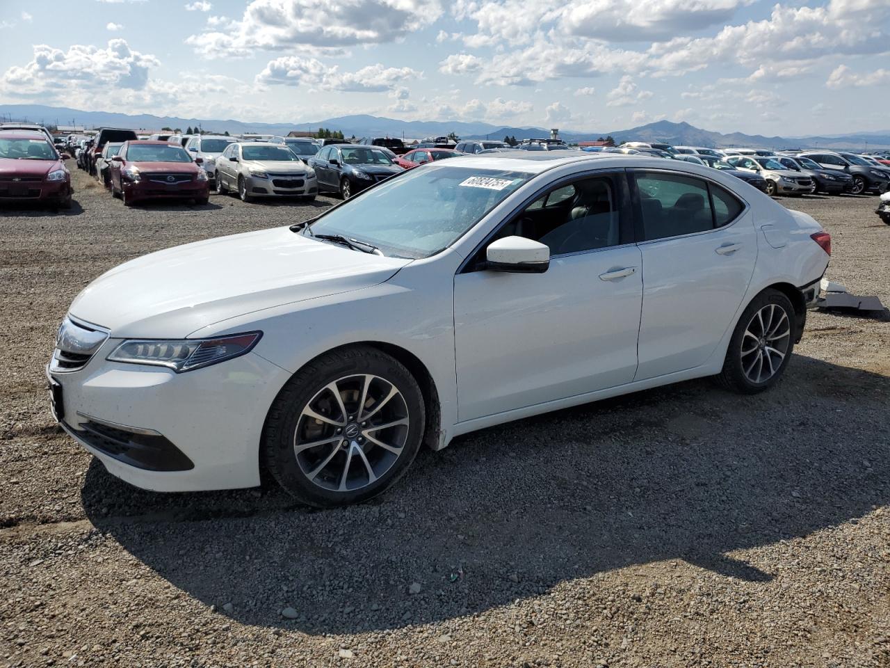 ACURA TLX 2015