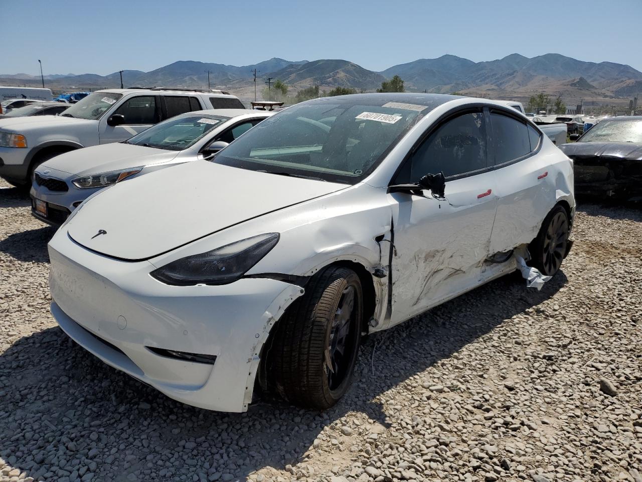 TESLA MODEL Y 2021