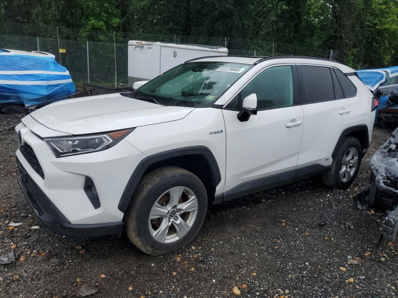 TOYOTA RAV4 XLE 2021