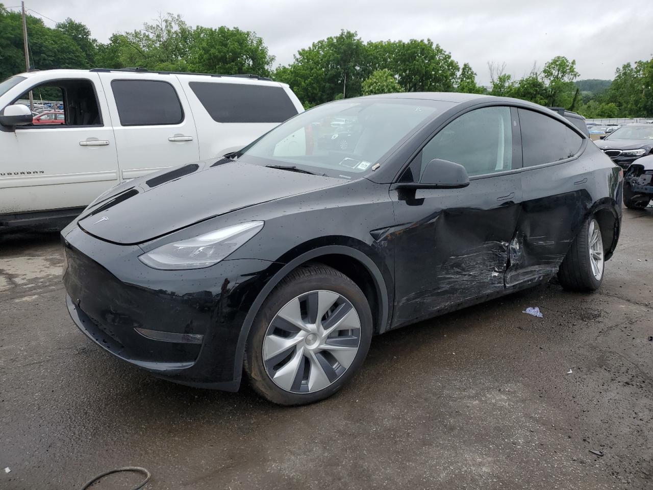 TESLA MODEL Y 2023