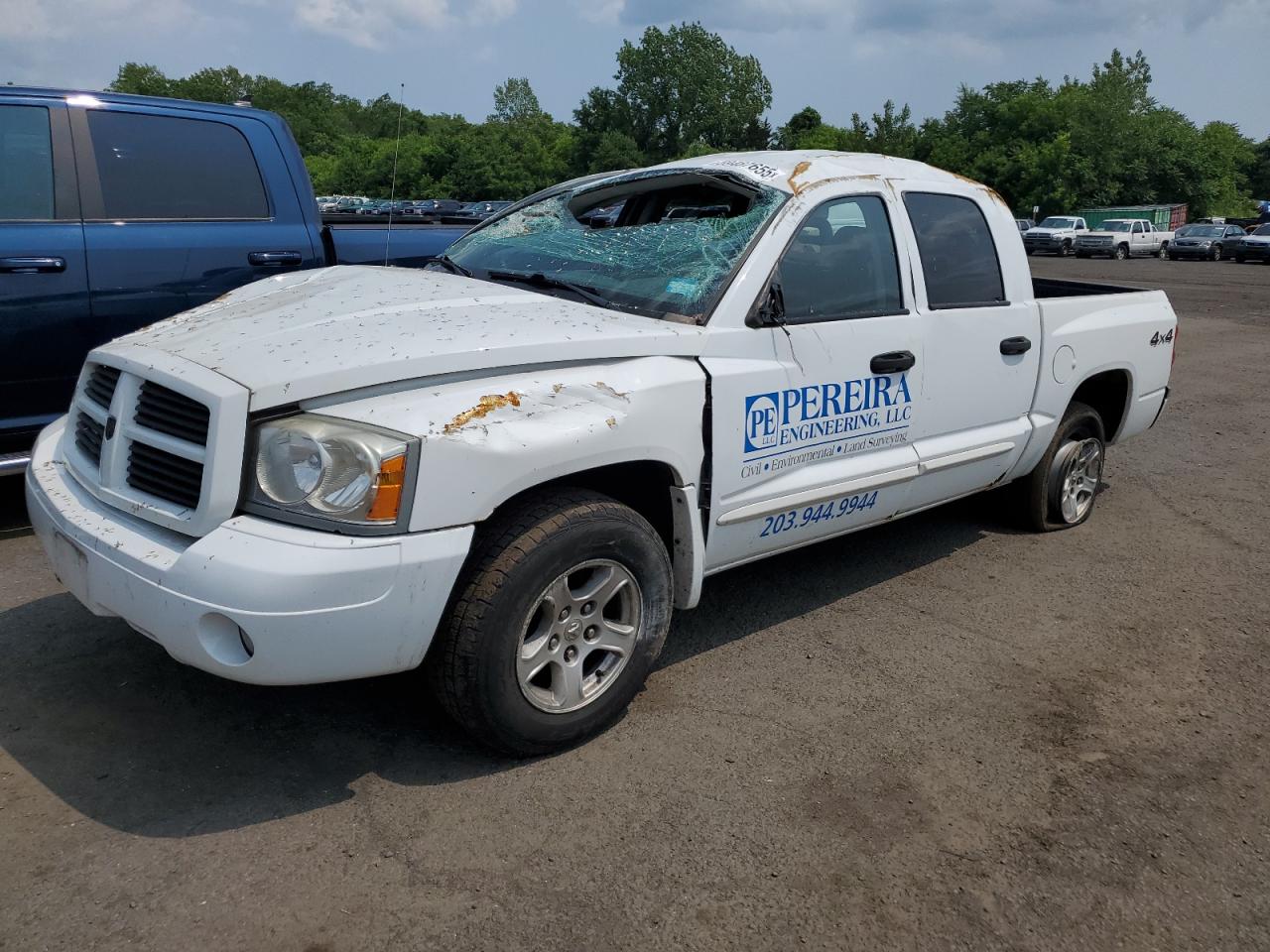 DODGE DAKOTA QUA 2006