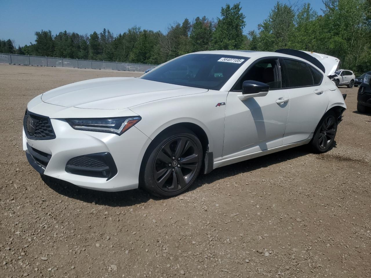 ACURA TLX TECH A 2022