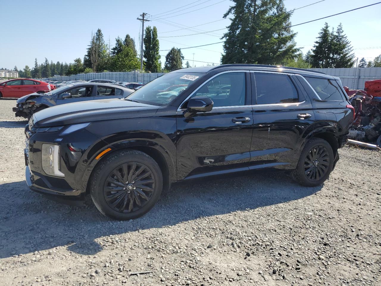 HYUNDAI PALISADE C 2025