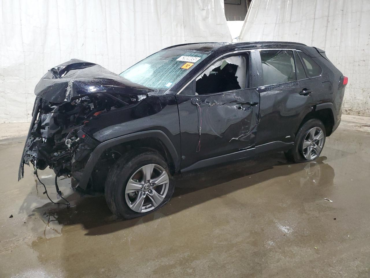 TOYOTA RAV4 LE 2024