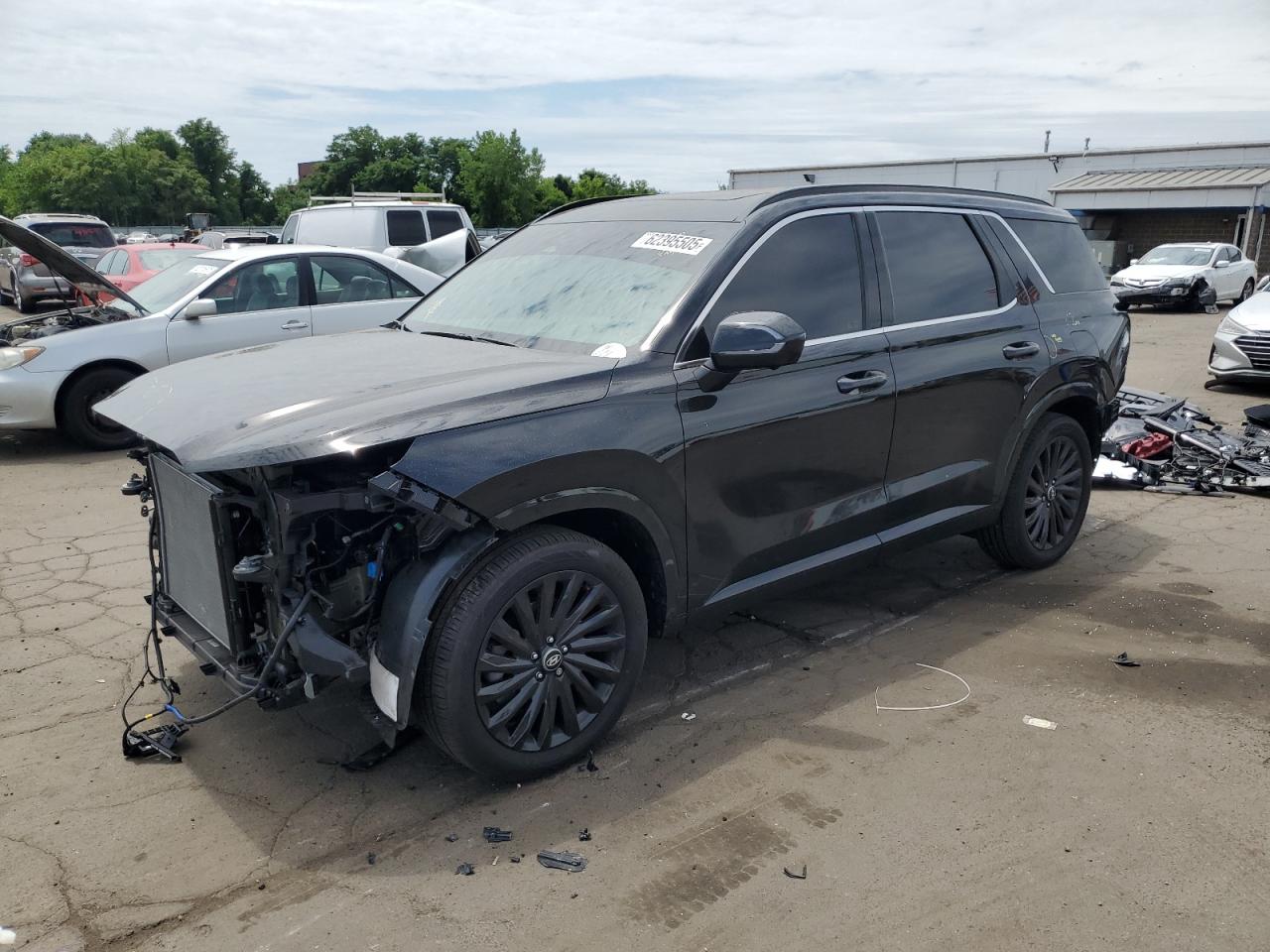 HYUNDAI PALISADE C 2025