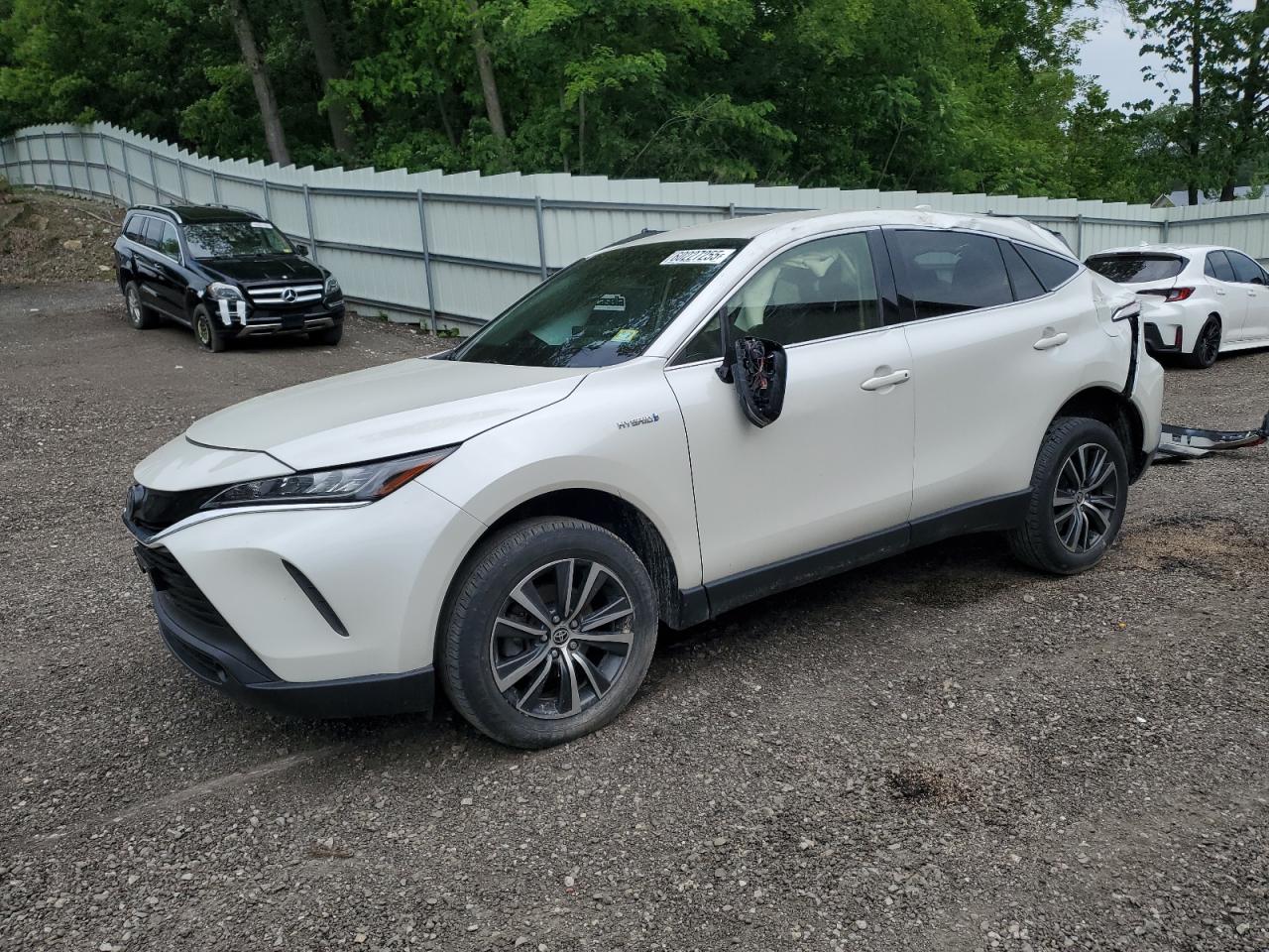 TOYOTA VENZA LE 2021