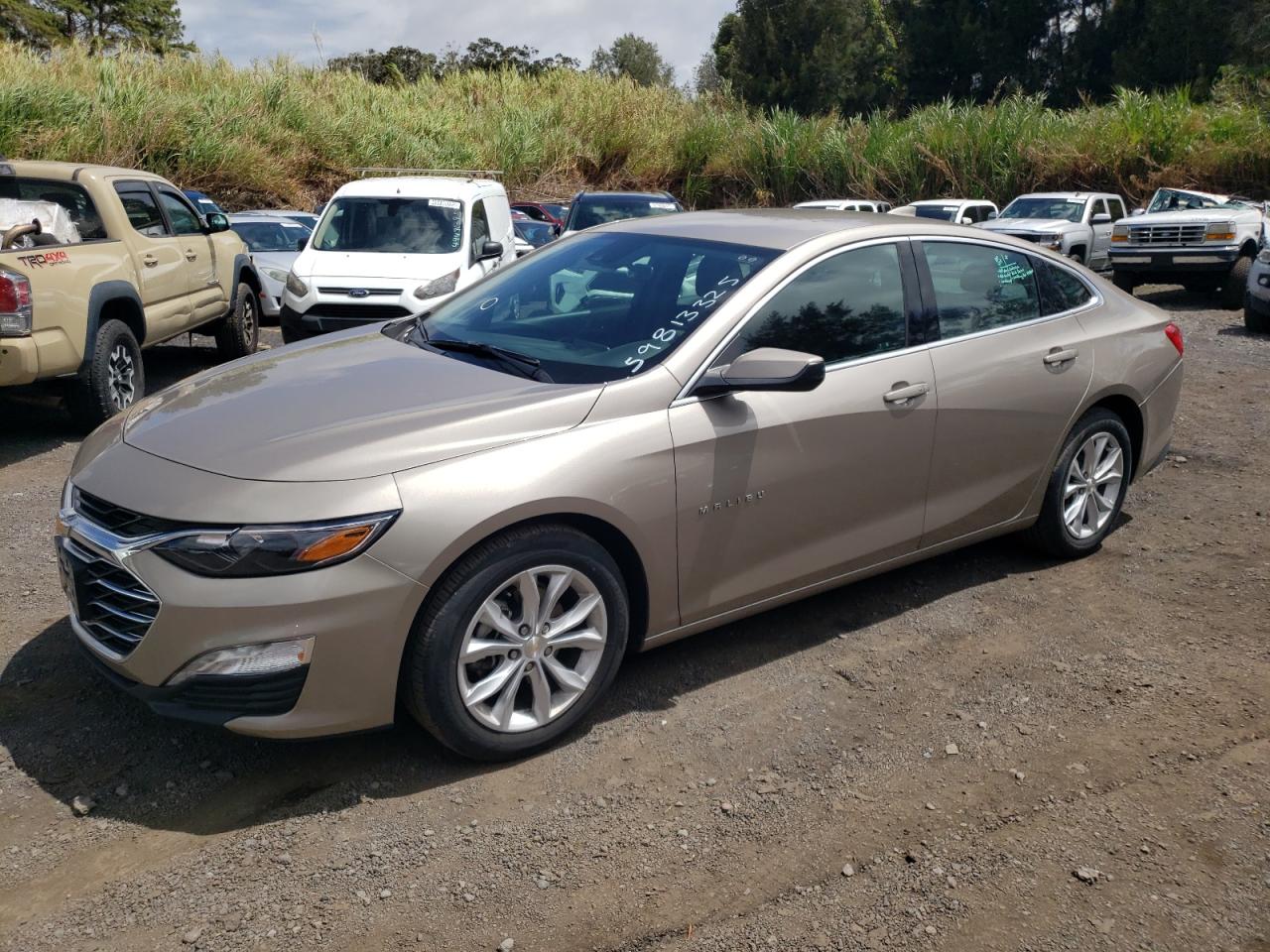 CHEVROLET MALIBU LT 2024