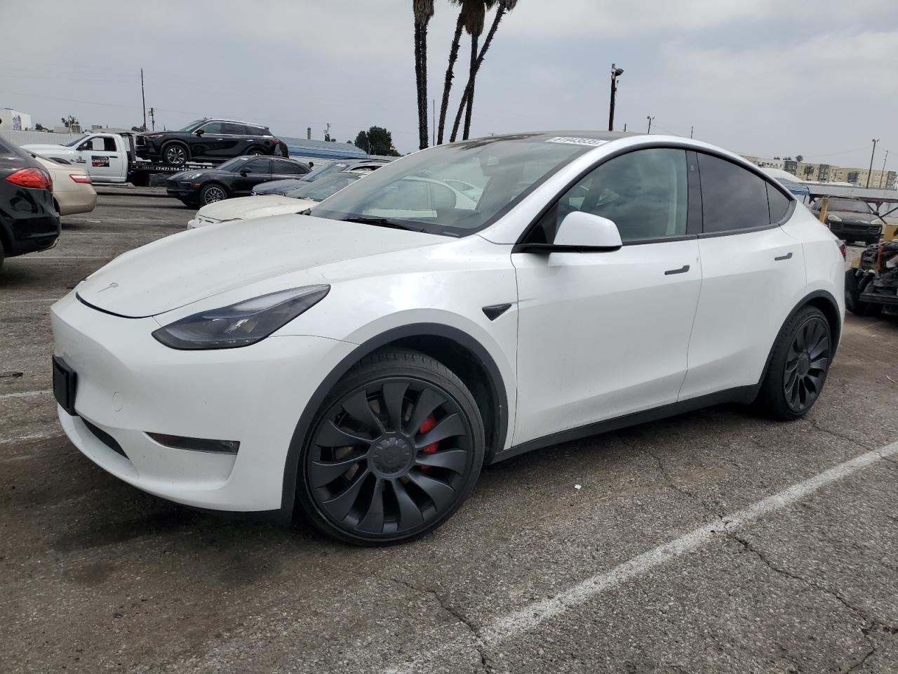 TESLA MODEL Y 2023