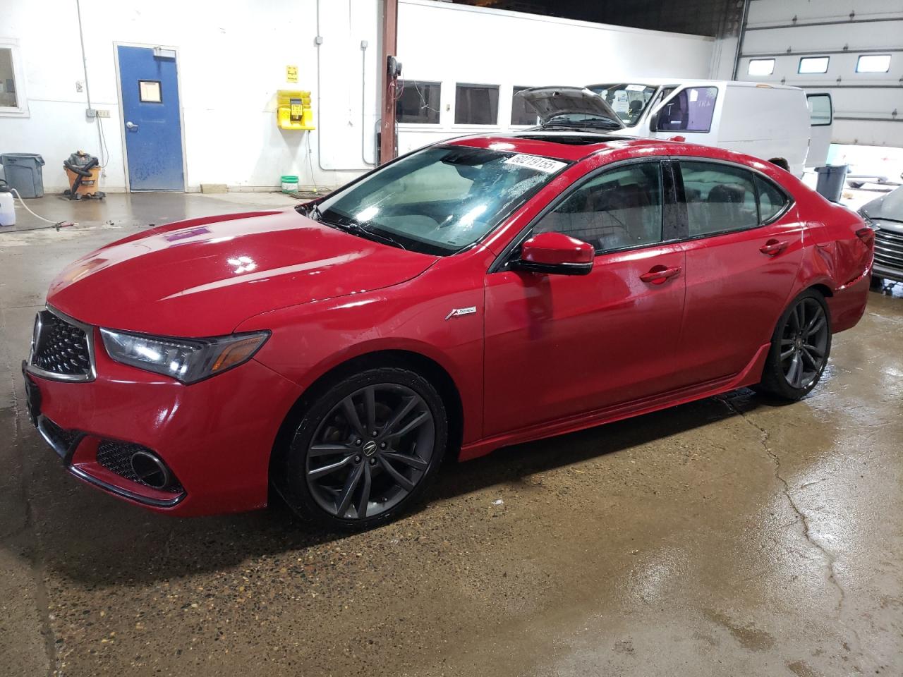 ACURA TLX TECHNO 2019