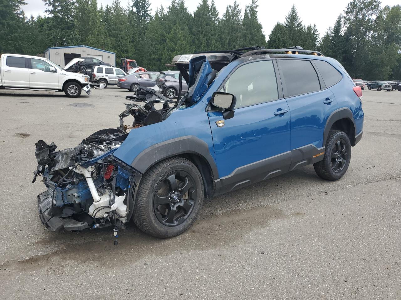 SUBARU FORESTER W 2023