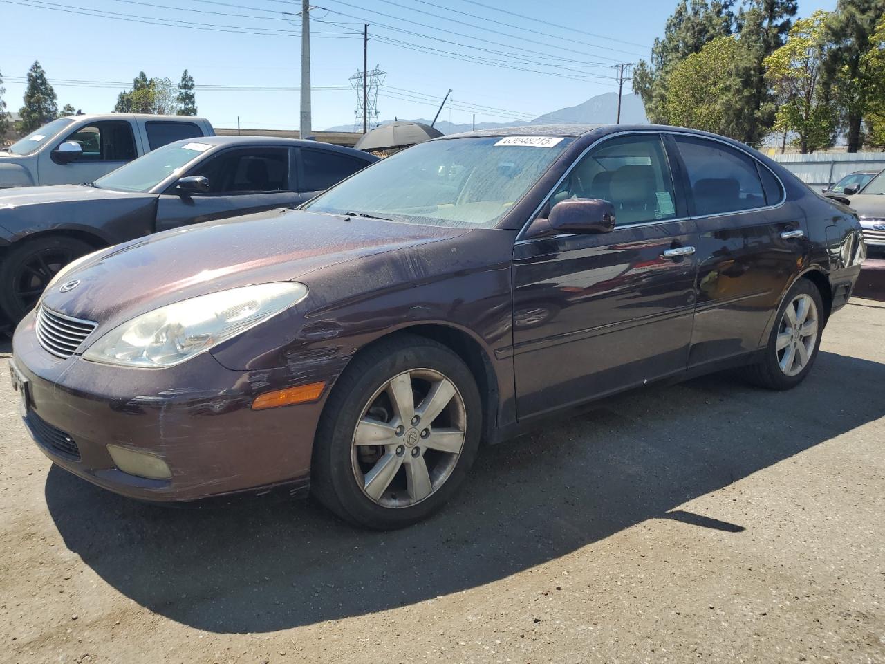 LEXUS ES 330 2005