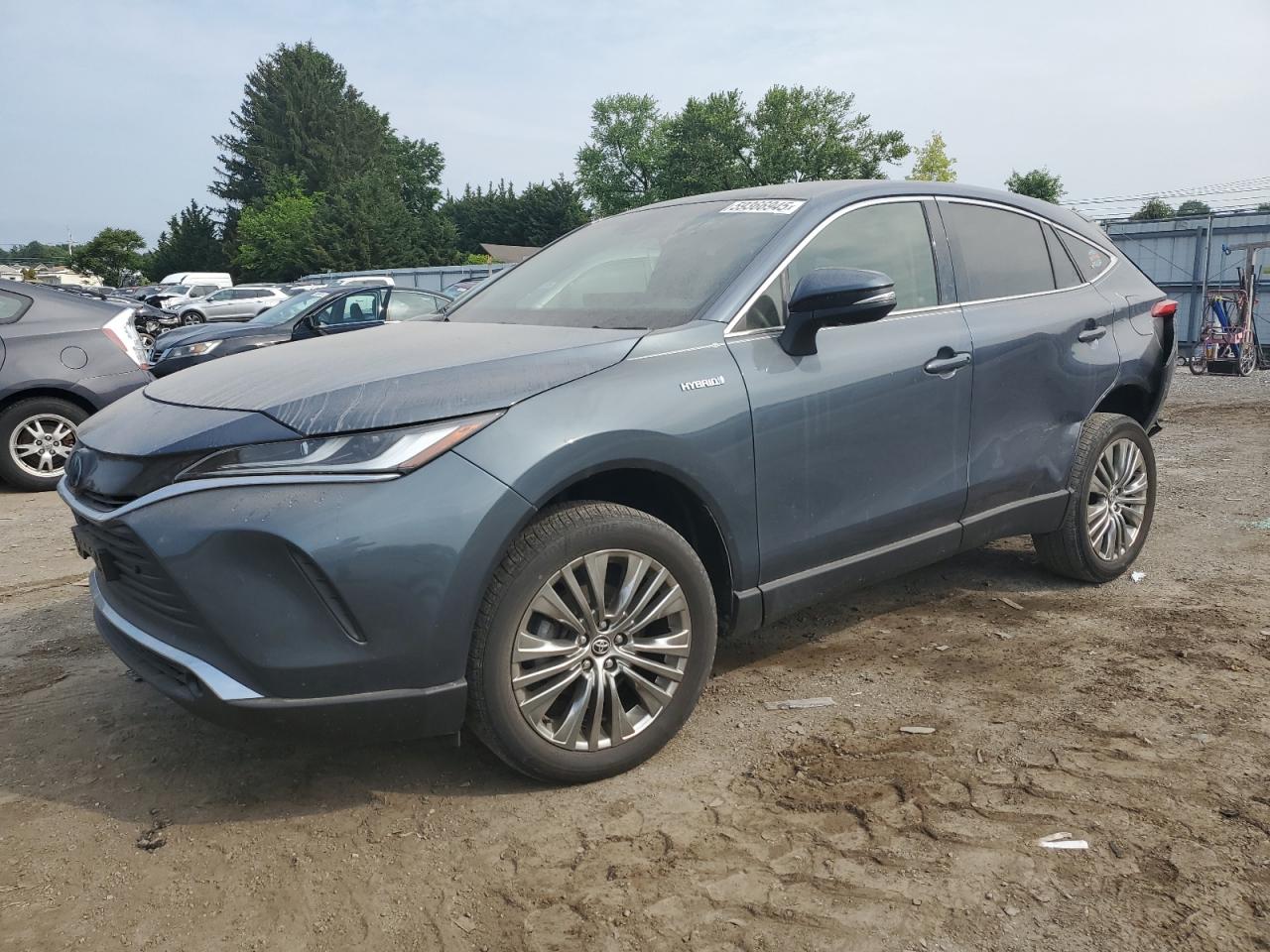 TOYOTA VENZA LE 2021