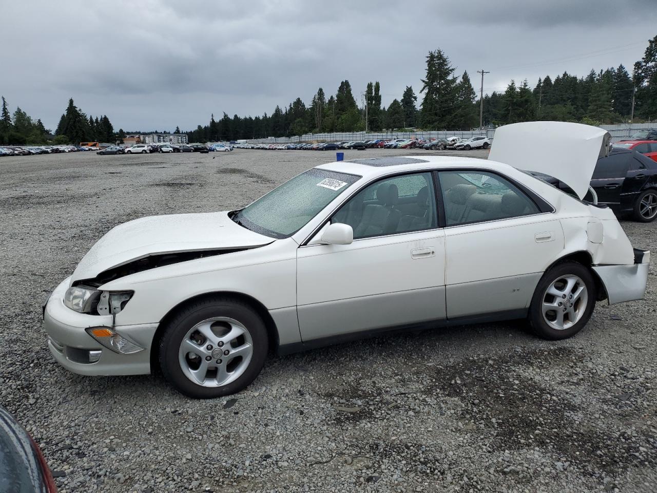 LEXUS ES 300 2000