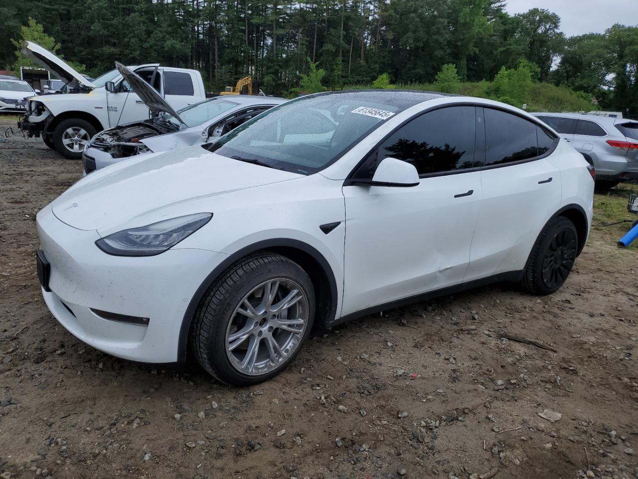 TESLA MODEL Y 2021