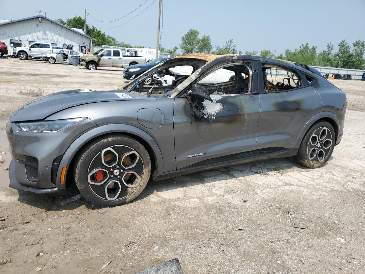 FORD MUSTANG MA 2023