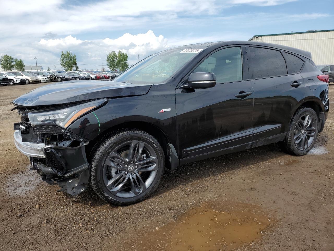 ACURA RDX A-SPEC 2024