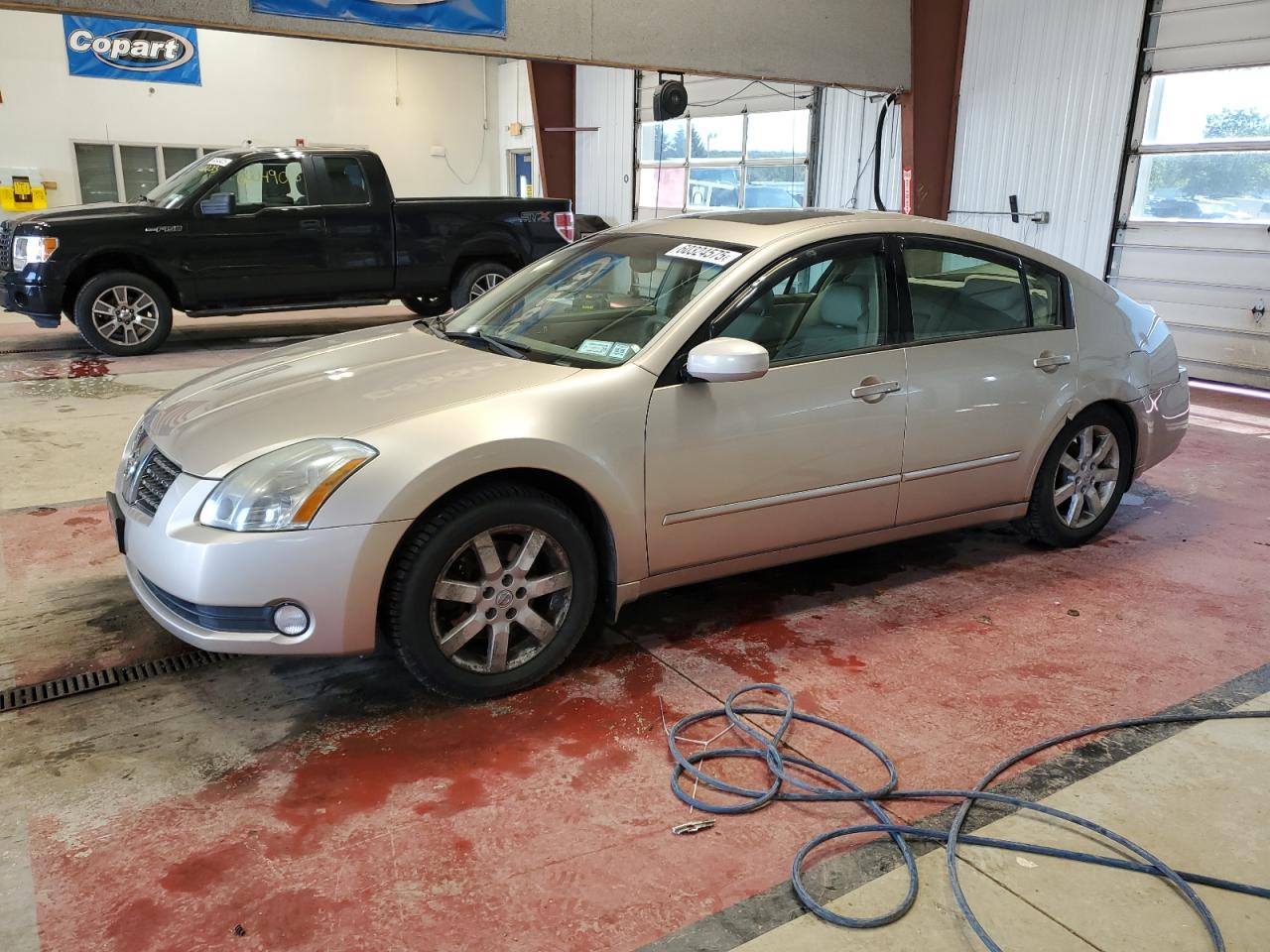 NISSAN MAXIMA 2005