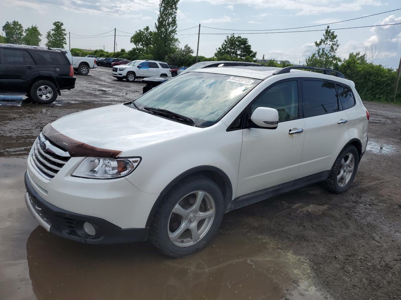 SUBARU TRIBECA LI 2011