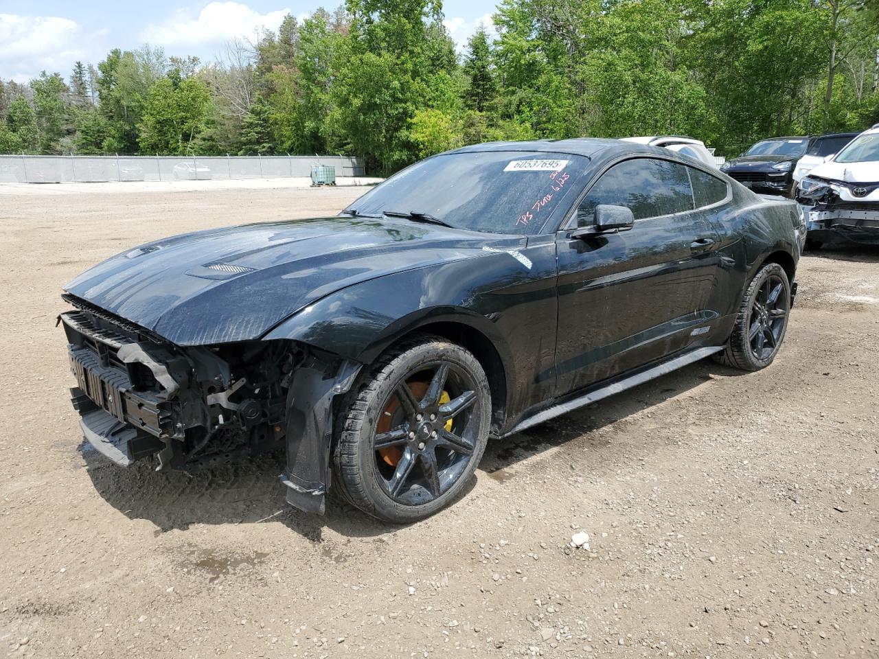 FORD MUSTANG 2019
