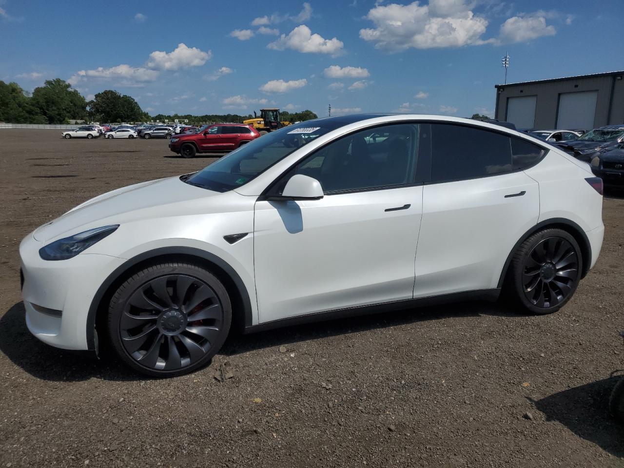 TESLA MODEL Y 2020