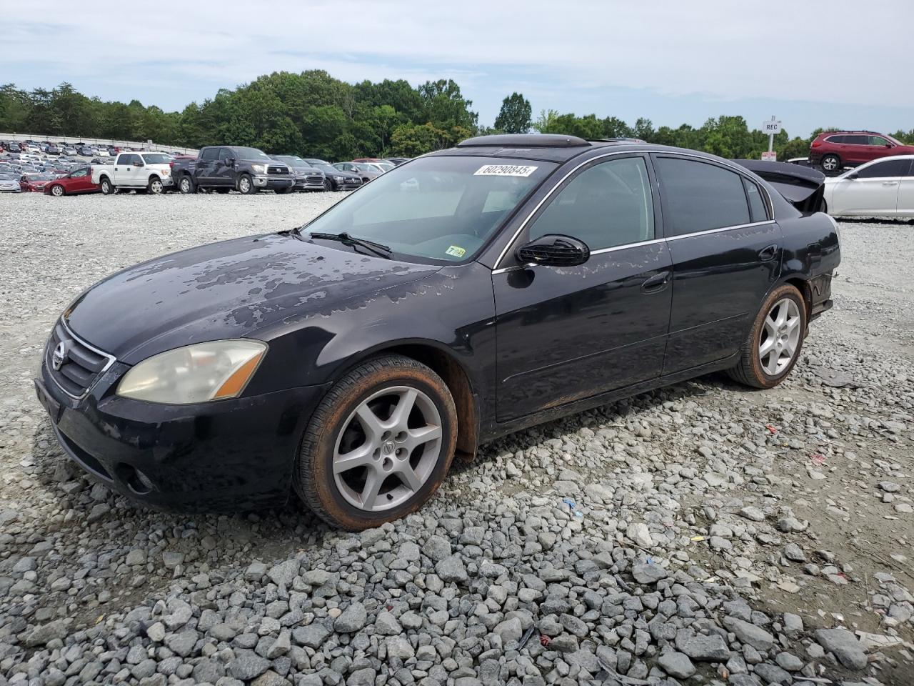 NISSAN MAXIMA 2003
