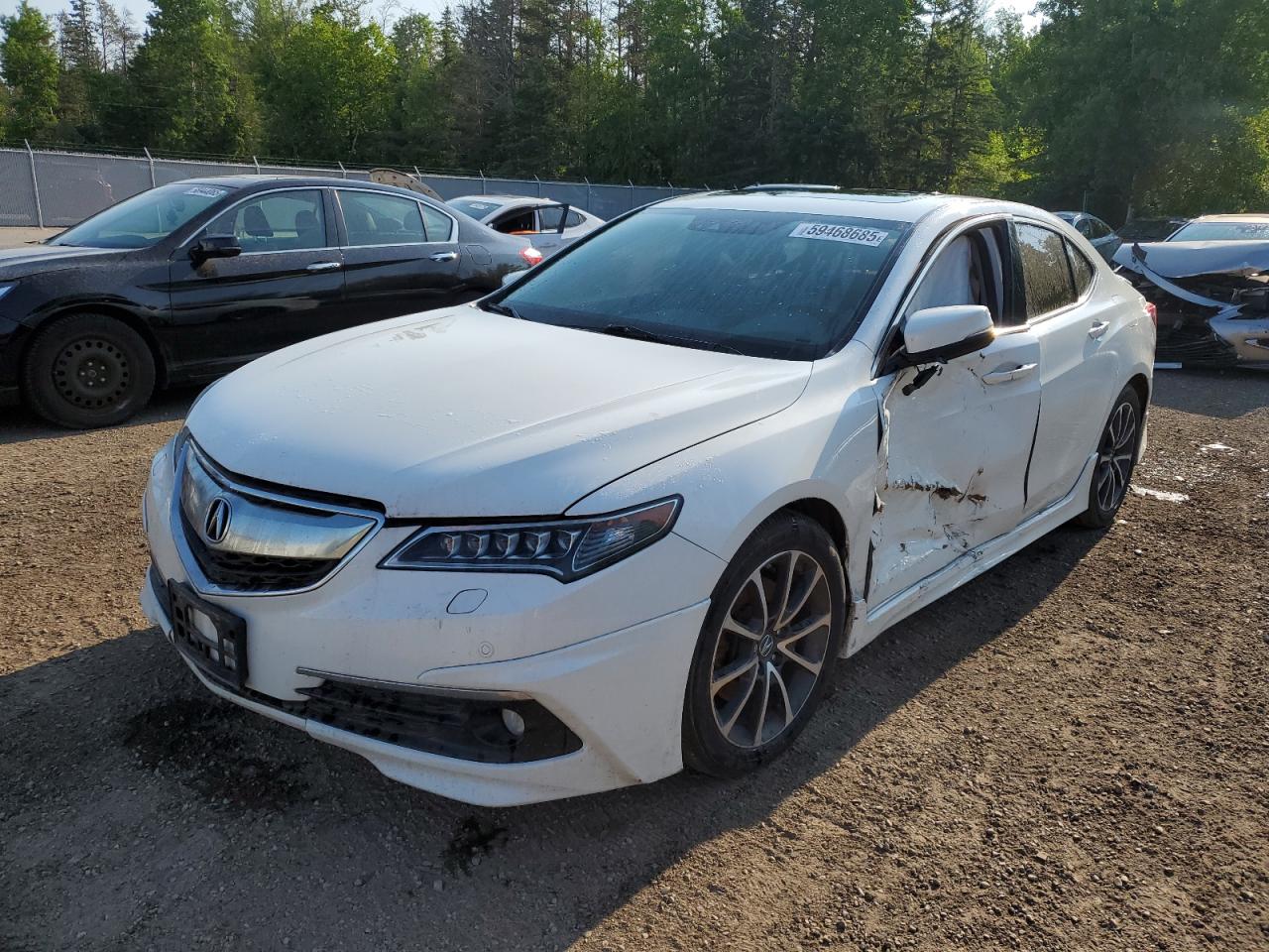 ACURA TLX ADVANC 2015