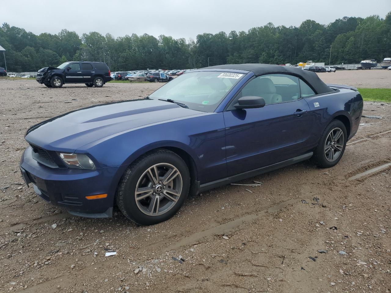 FORD MUSTANG 2010