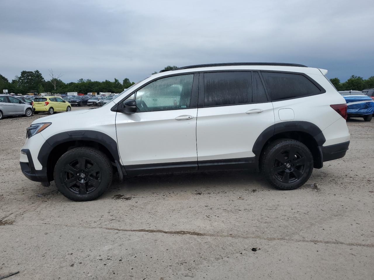 HONDA PILOT TRAI 2022
