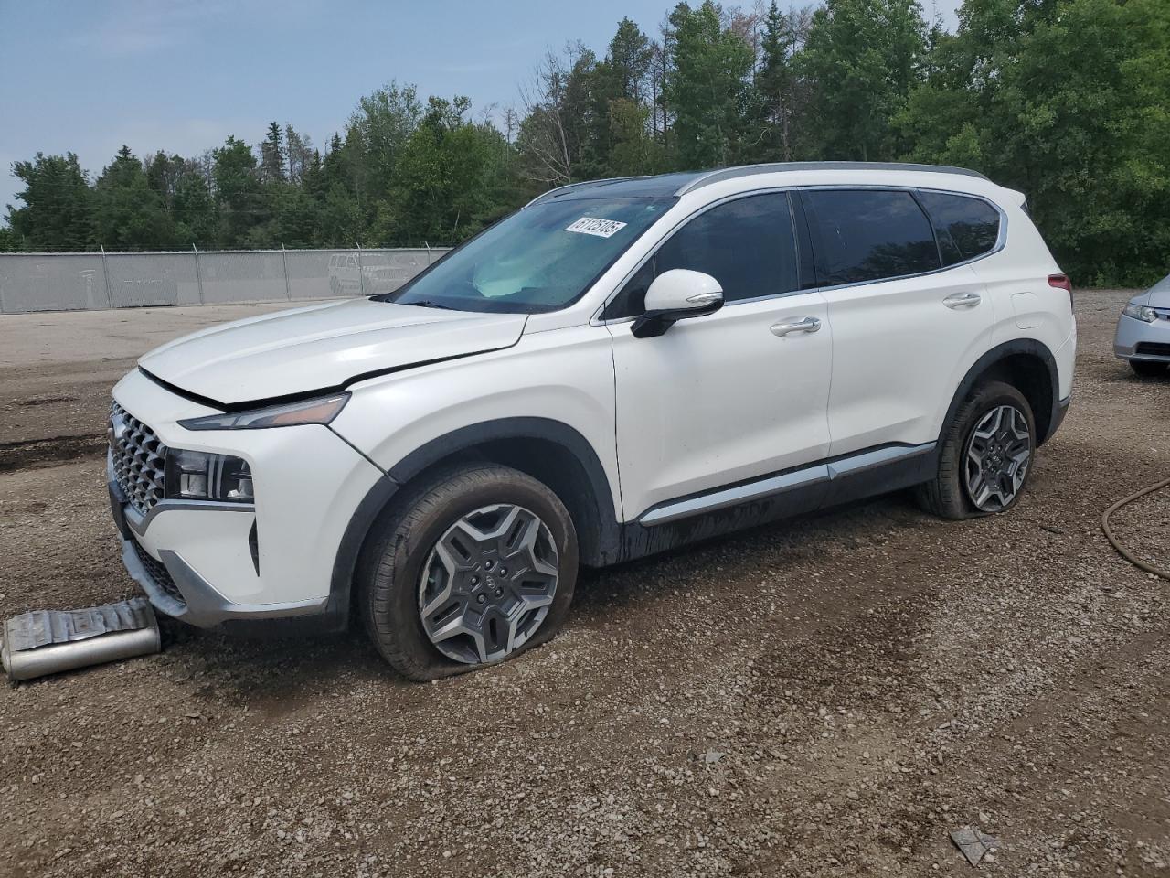 HYUNDAI SANTA FE L 2023