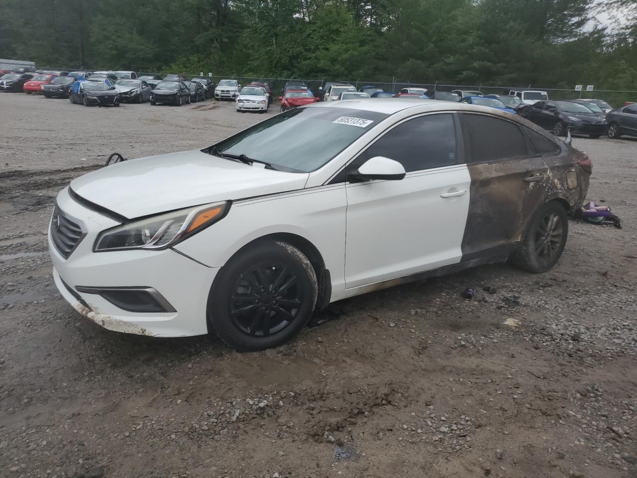 HYUNDAI SONATA SE 2016