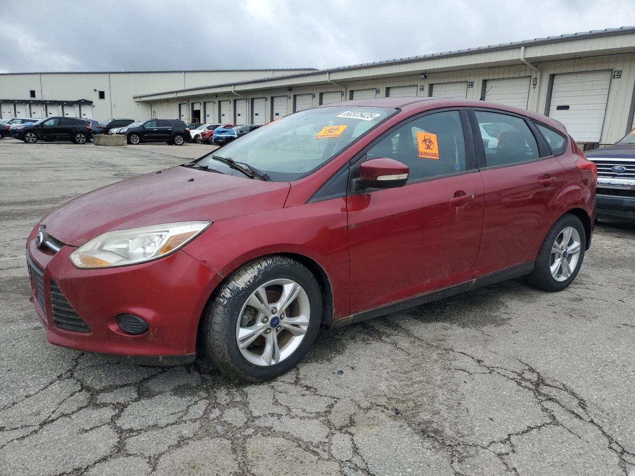 FORD FOCUS SE 2014