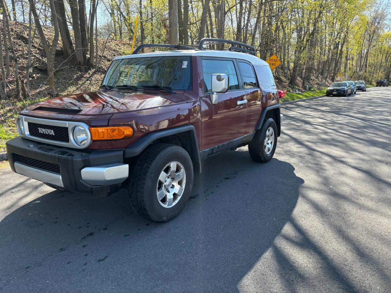 TOYOTA FJ CRUISER 2010