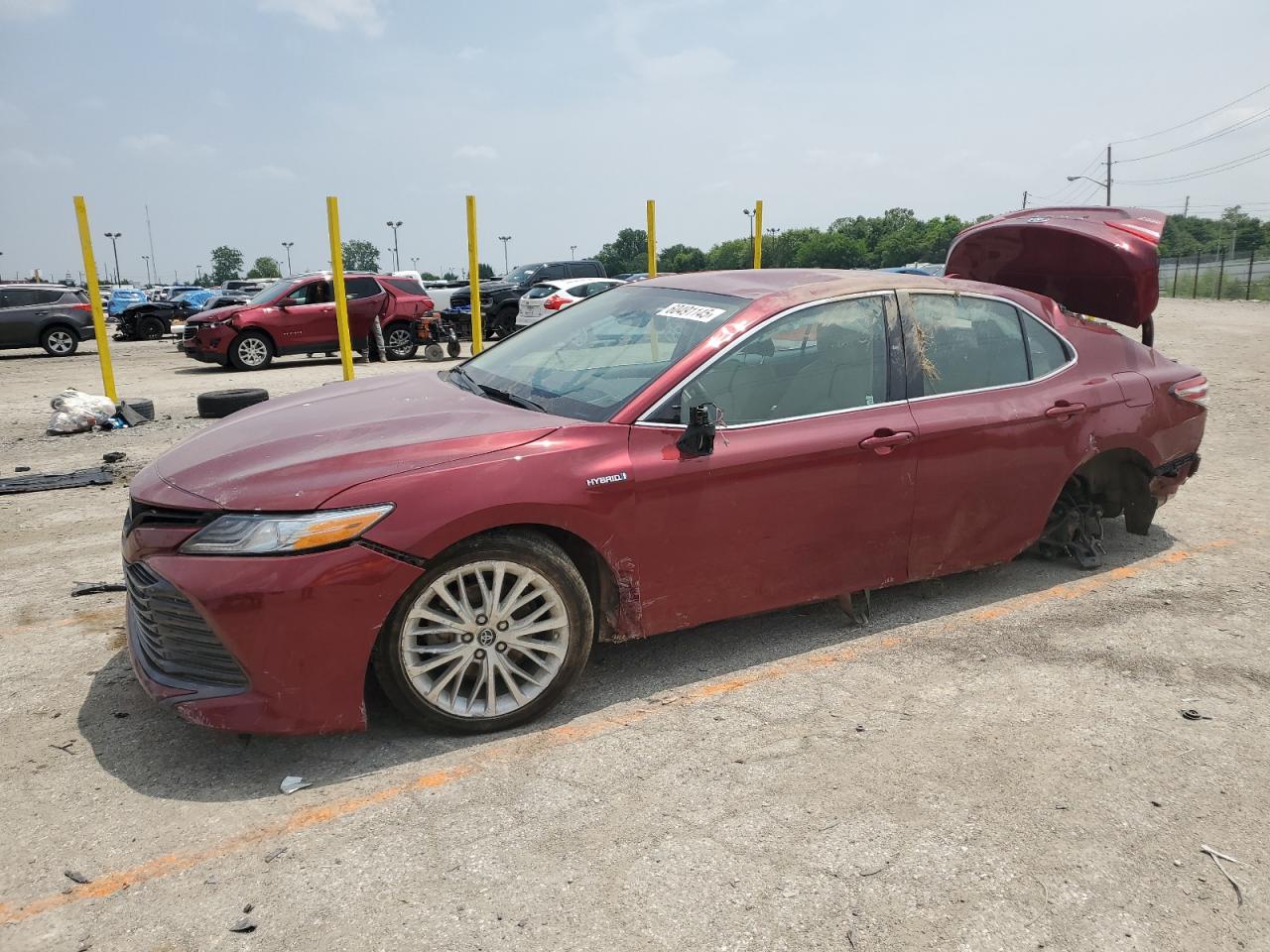 TOYOTA CAMRY HYBR 2019