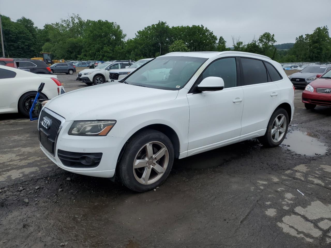 AUDI Q5 PREMIUM 2011