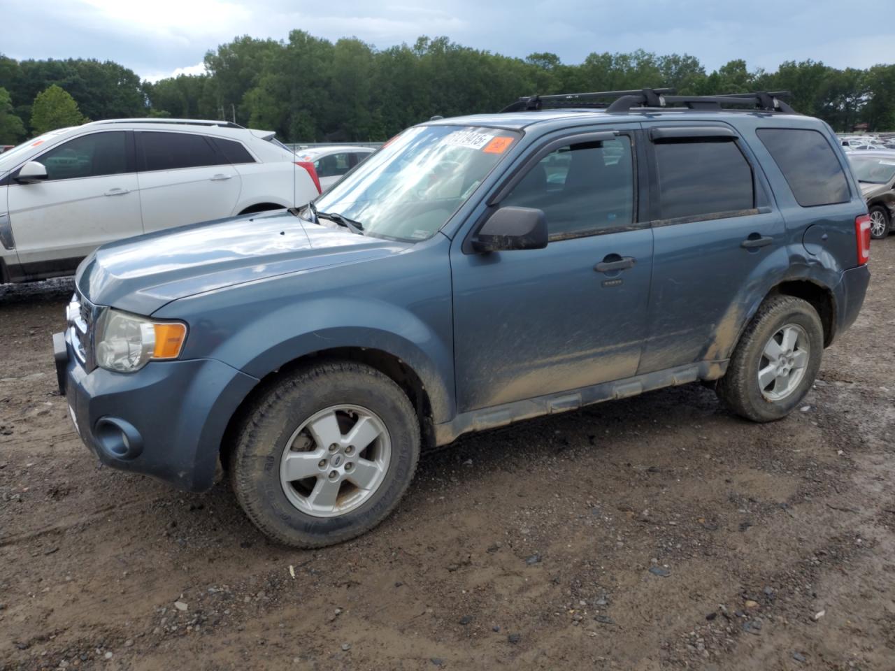 FORD ESCAPE XLT 2011