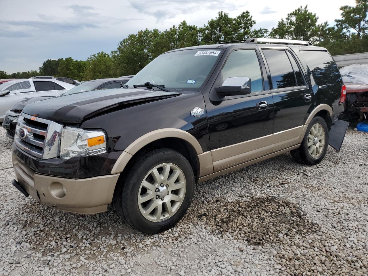 FORD Expedition 2013