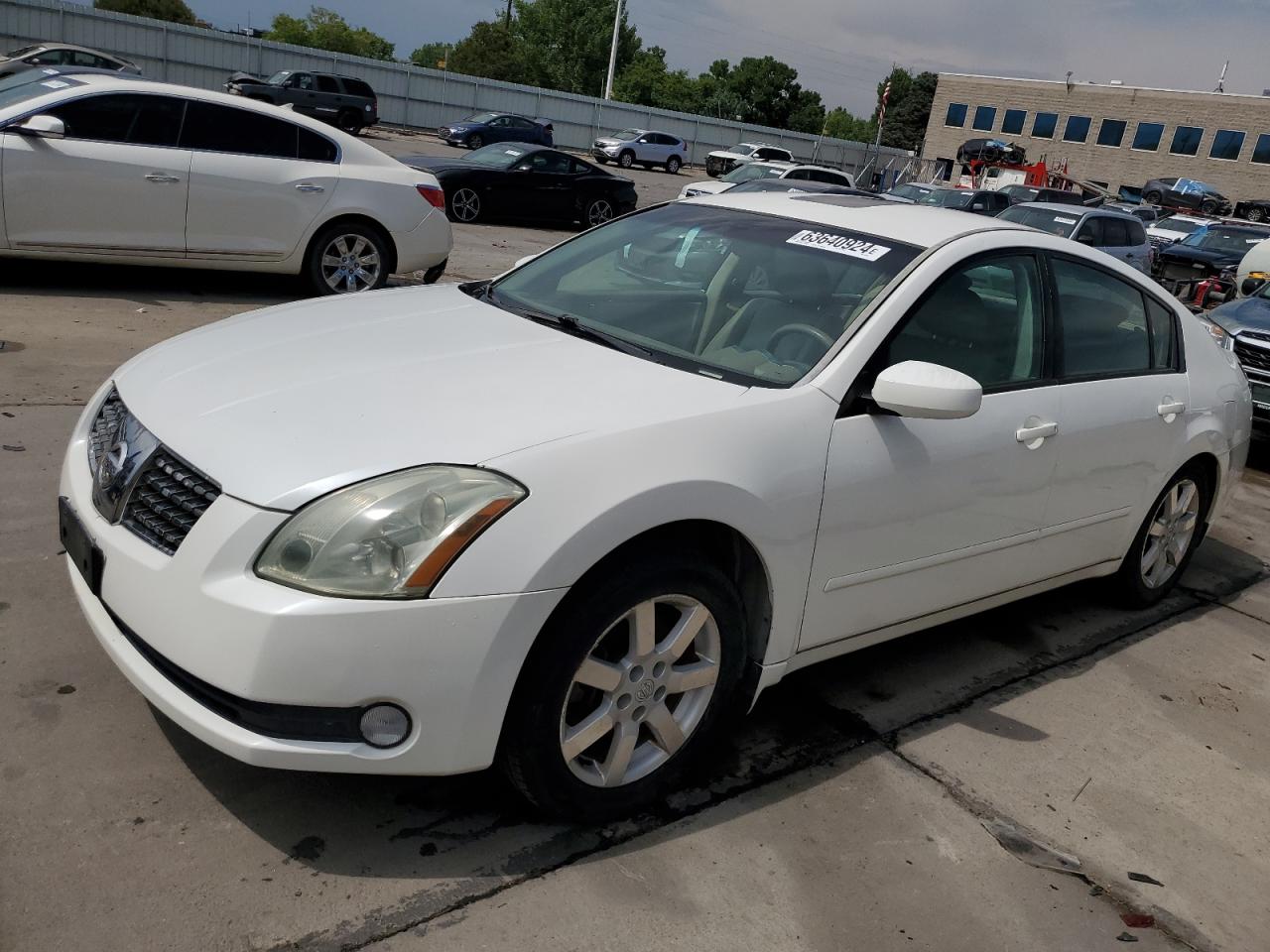 NISSAN MAXIMA SE 2004