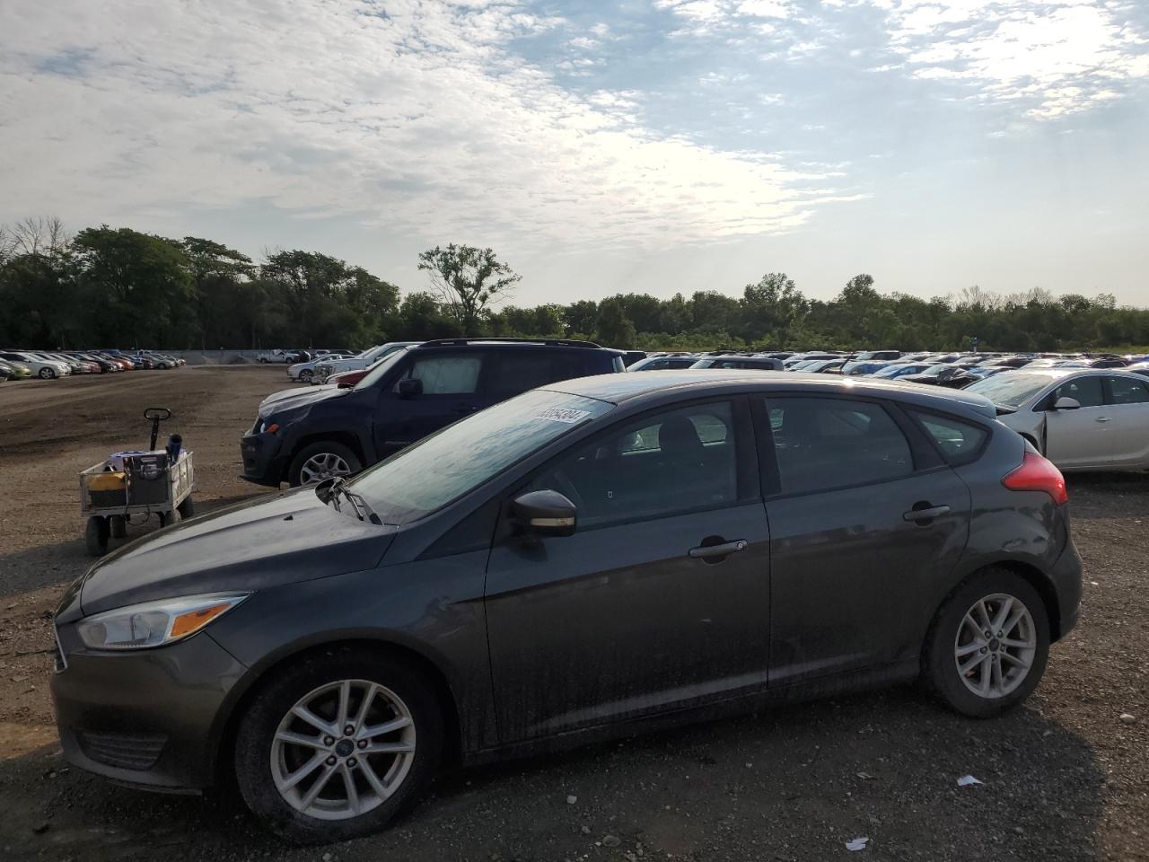 FORD FOCUS SE 2017