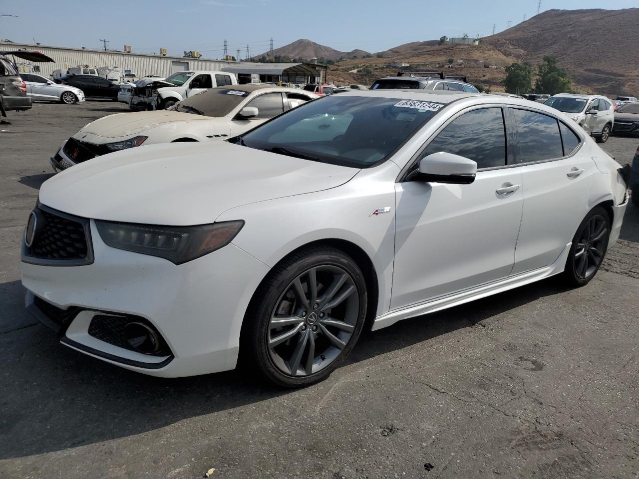 ACURA TLX TECHNO 2019