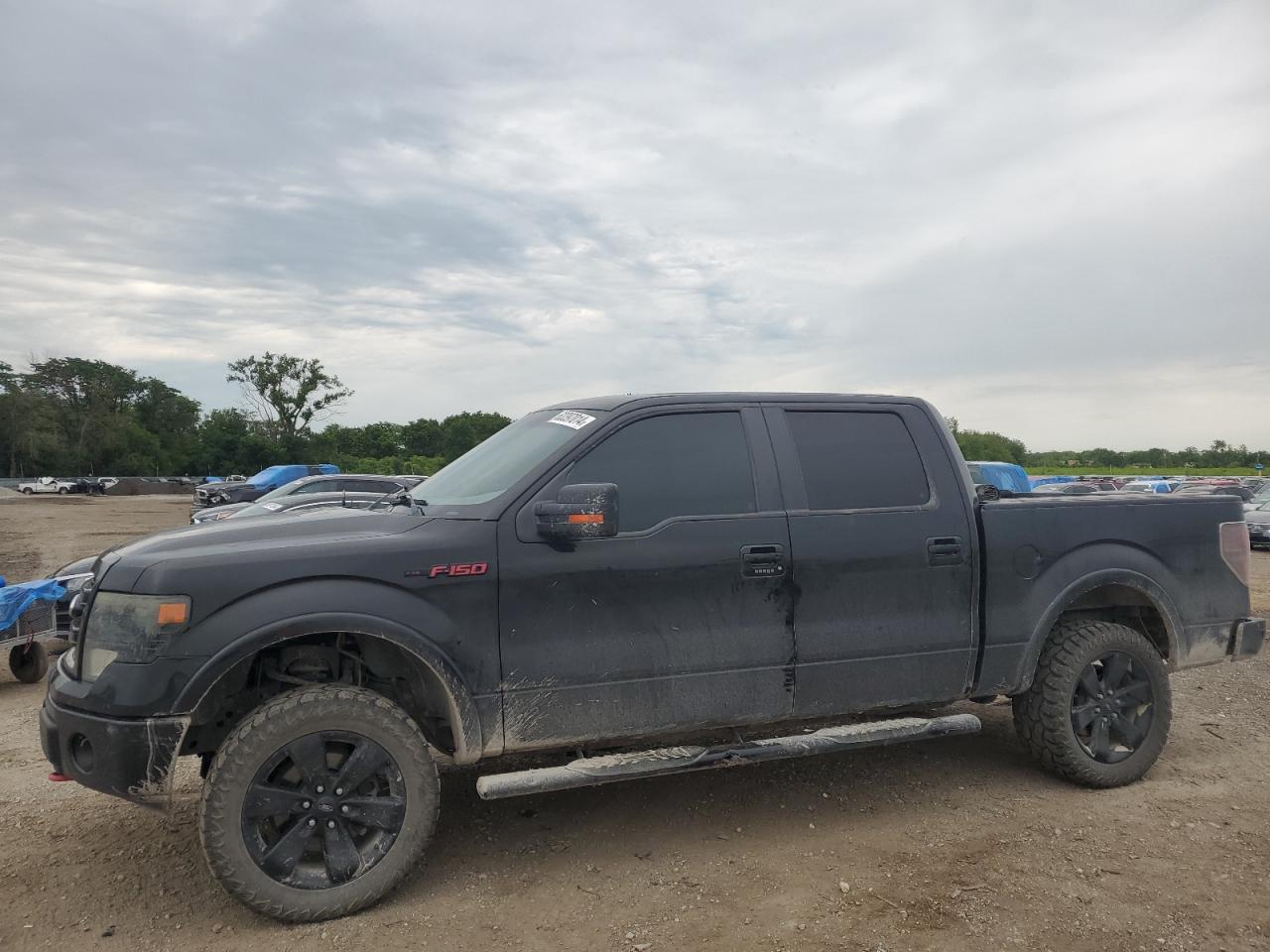 FORD F-150 2013