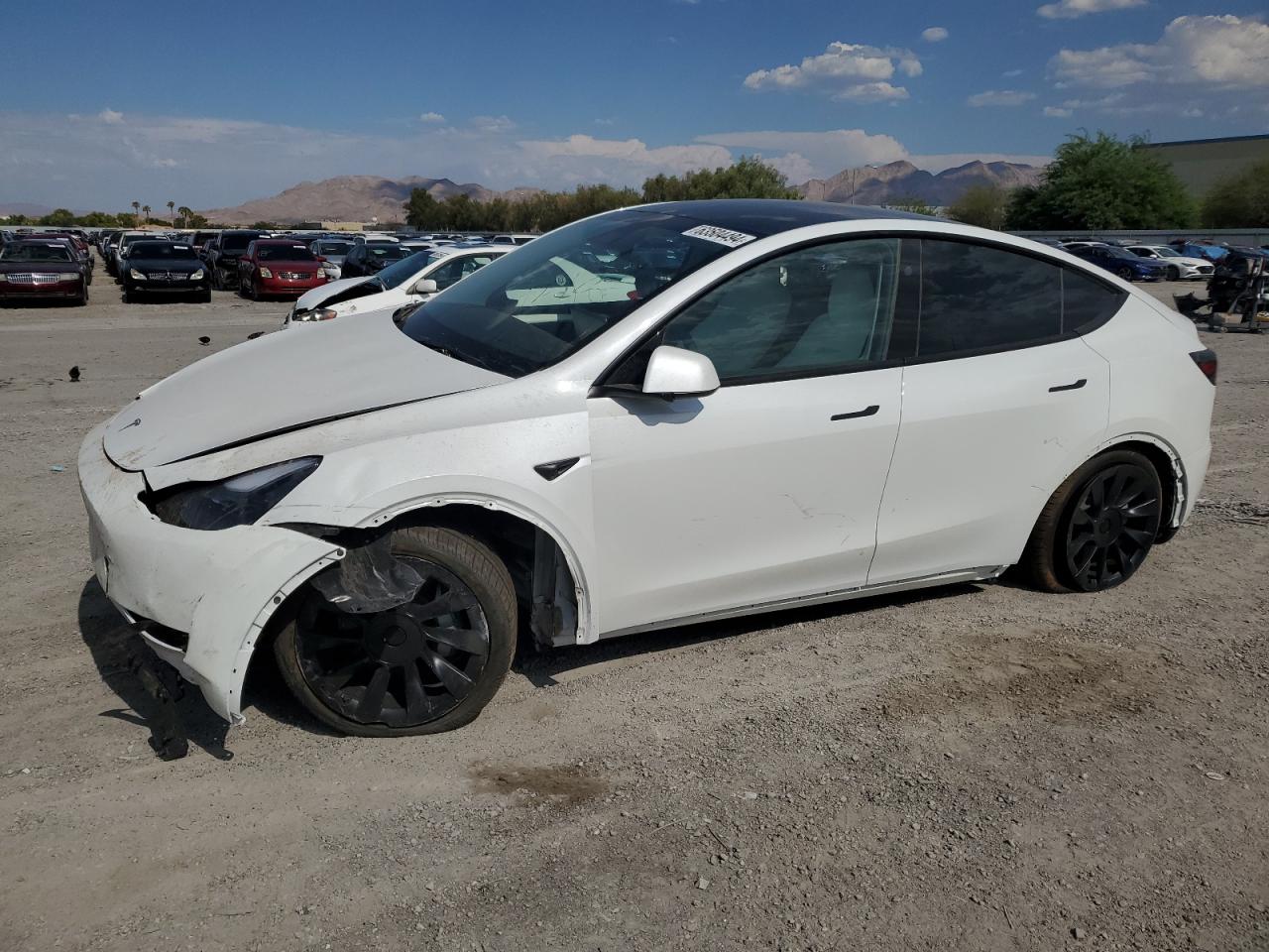 TESLA MODEL Y 2024