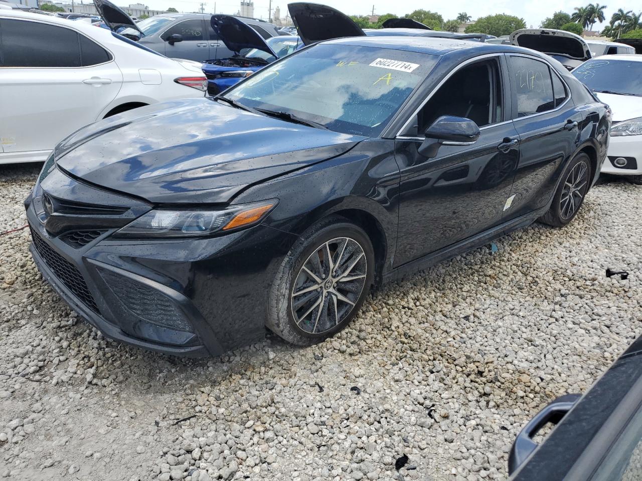 TOYOTA CAMRY SE N 2023